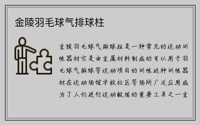 金陵羽毛球气排球柱